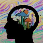 Funghi: gli scienziati studiano il loro effetto sul nostro cervello Funghi