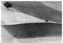 Fotografia e arte orientale in mostra in Toscana Fotografia e arte orientale