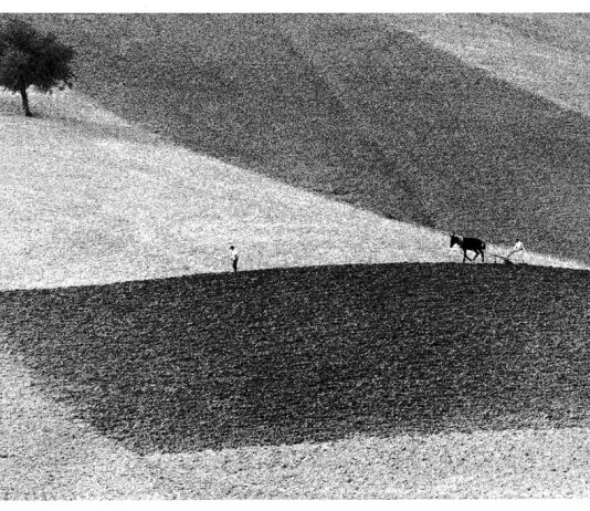 Fotografia e arte orientale in mostra in Toscana Fotografia e arte orientale