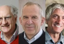 Il Nobel per la fisica 2025 a Clarke, Devoret e Martinis