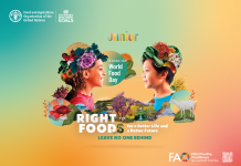 Mano nella mano per un cibo migliore: 80 anni della Fao Fao cibo alimentazione