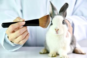 sperimentazione animale