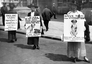 sperimentazione animale