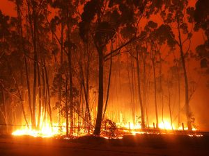 Australia caldo incendi