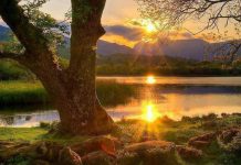 Abbondanza frugale, un nuovo modello di sviluppo economico Abbondanza frugale sviluppo economico