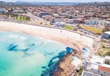 Terrorismo a Bondi, cresce la pressione sul Governo Albanese Albanese