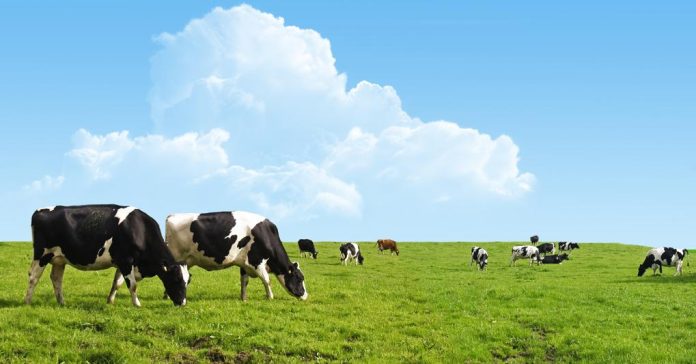 Ferrieri Sostenibilità cibo salute economia