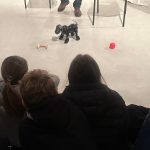Bulli ed Eroi: empatia, robotica ed educazione emotiva Bulli ed Eroi