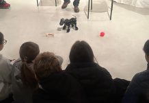 Bulli ed Eroi: empatia, robotica ed educazione emotiva Bulli ed Eroi