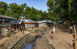 Rohingya 