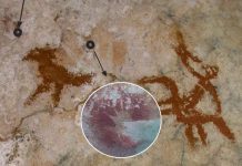 Arte rupestre: nuova scoperta in Indonesia