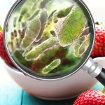 Aumentano in Europa le malattie di origine alimentare Malattie di origine alimentare
