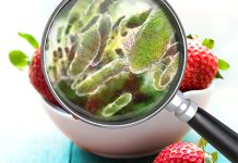 Aumentano in Europa le malattie di origine alimentare Malattie di origine alimentare