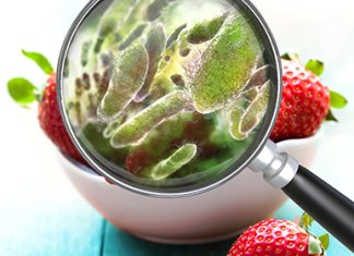 Aumentano in Europa le malattie di origine alimentare Malattie di origine alimentare