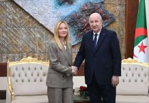 Italia e Algeria: manovra strategica di differenziazione energetica