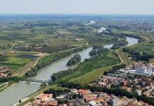 Legnago ricorda Giordano Riello con una corsa solidale Legnago