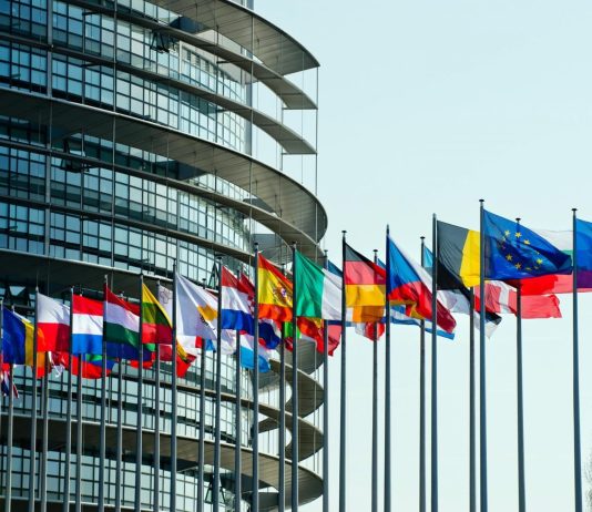 Spg: il Parlamento europeo ne approva la revisione Spg