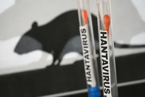 Hantavirus nave da crociera Oms