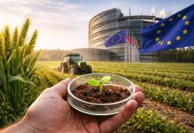 L’Ue apre alle biotecnologie con le nuove tecniche genomiche