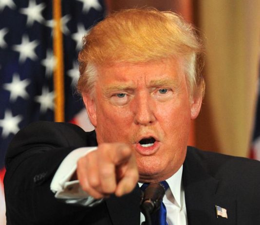 La digital tax e le ire di Trump digital tax
