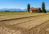 Crisi agricoltura italiana tra siccità e costi in aumento Crisi agricoltura, siccità, costi