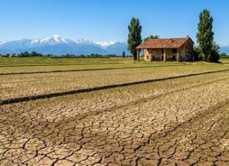 Crisi agricoltura italiana tra siccità e costi in aumento Crisi agricoltura, siccità, costi