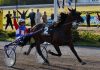Varenne, addio al cavallo che fece innamorare l’italia Varenne