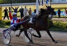 Varenne, addio al cavallo che fece innamorare l’italia Varenne