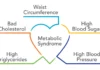 La sindrome metabolica e i suoi 5 segnali