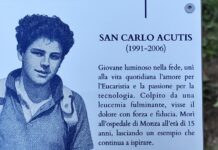 L’ospedale San Gerardo di Monza accoglie il “Giardino dei Santi” Carlo Acutis