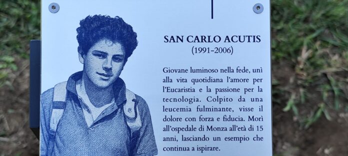 Dea Carlo Acutis